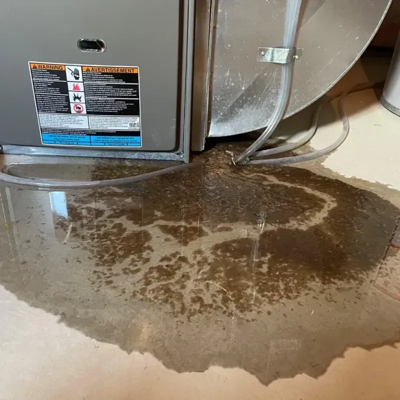 Appliance Leak Cleanup in Wabash County, IN